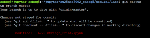 Error Loading Notebook - Unreadable Notebook